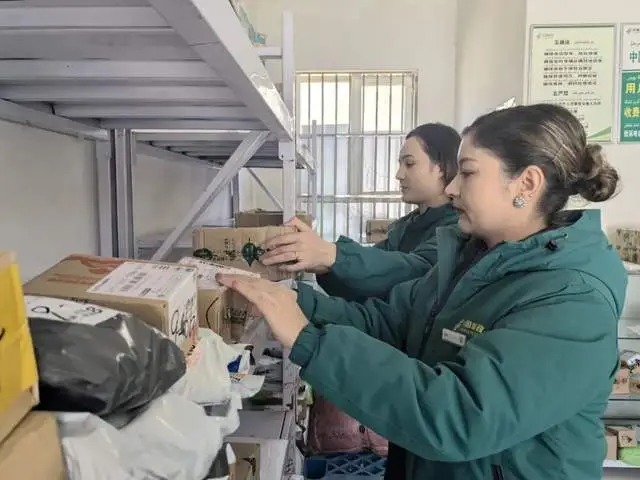 澤普縣：快遞進村全覆蓋 物流末梢暢通鄉村振興路