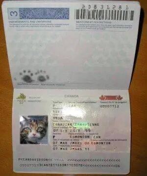 美國暫停處理來自75國移民簽證申請解析