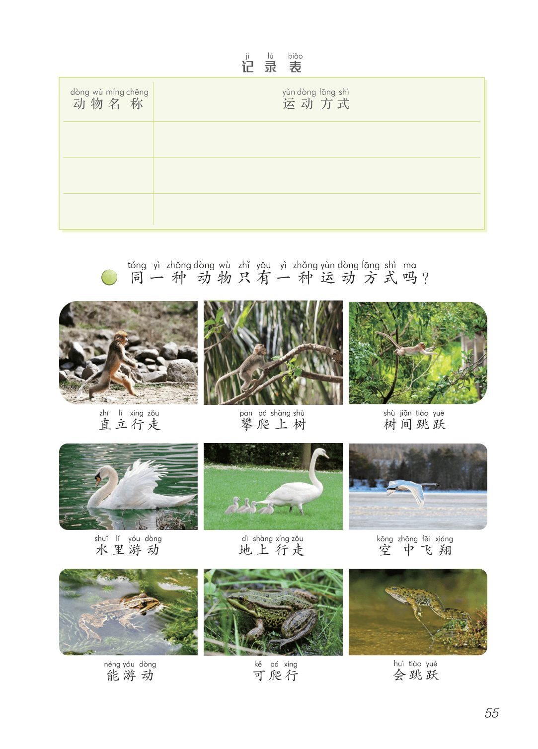2026青島版一年級科學下冊電子課本(PDF高畫質版新教材)