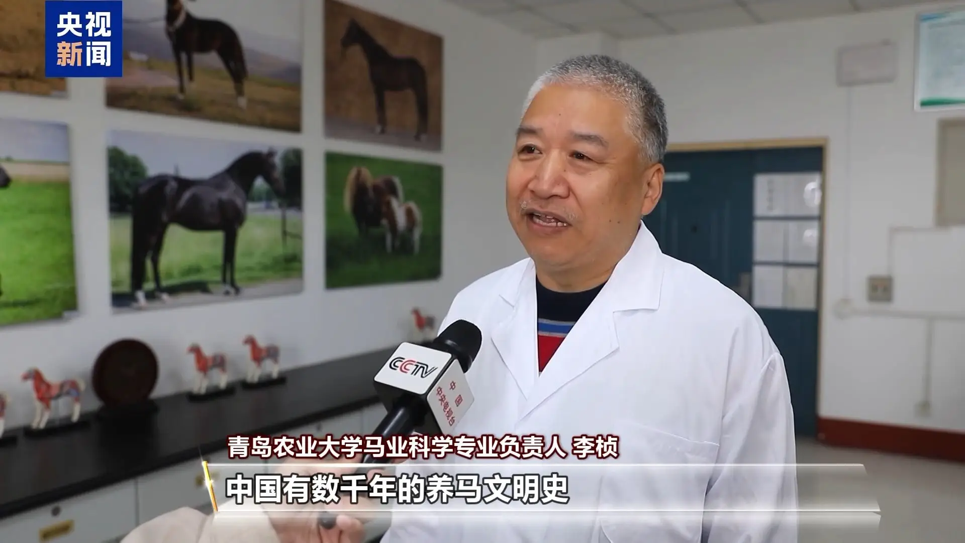 別人家的大學！青島高校開設“騎馬養馬”專業