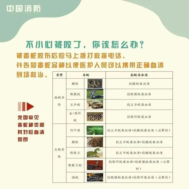 女童被眼鏡王蛇咬傷，“假死”3天后奇蹟生還！